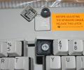 Thumbnail of 37.jpg