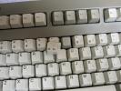 Thumbnail of issk2.jpg