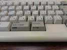Thumbnail of DSC00715.JPG