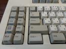 Thumbnail of DSC00717.JPG