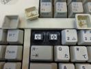 Thumbnail of DSC00718.JPG