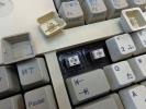 Thumbnail of DSC00720.JPG