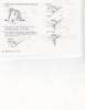 Thumbnail of m15-14-8.jpg