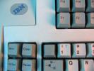 Thumbnail of 7.jpg