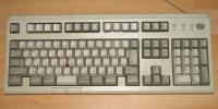 Thumbnail of 1.jpg