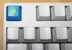 Thumbnail of duck1.jpg