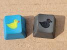 Thumbnail of duck3.jpg